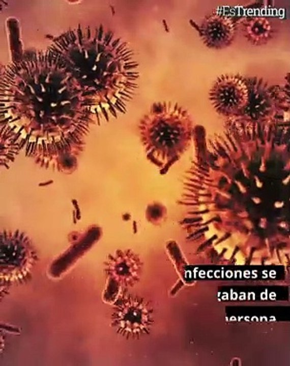 ¿A quién se le ocurrió la idea del lavado de manos?