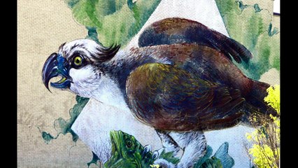 Video 2 of US 60 Art Drop 2016 Road Trip Owensboro KY Bill Smothers Park