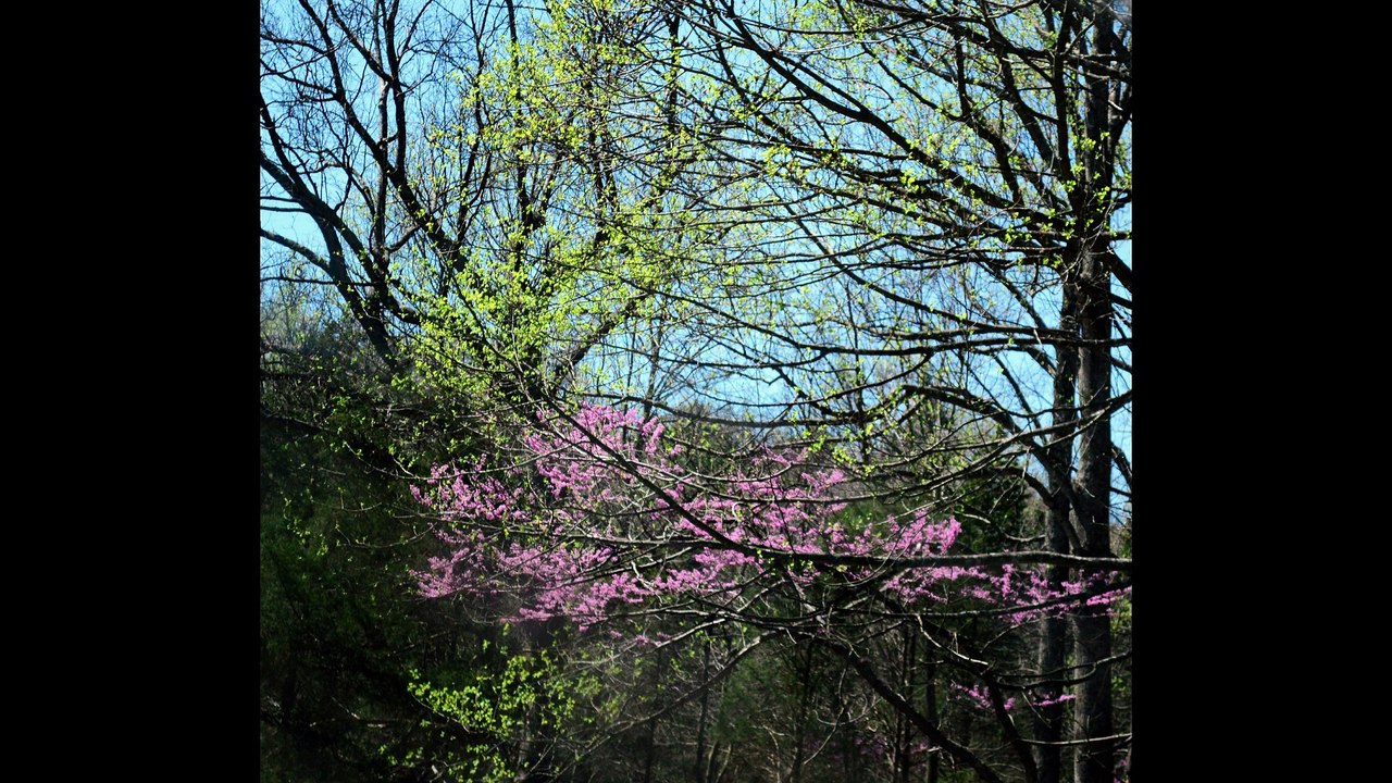 Video 3 US 60 Art Drop 2016 Road Trip day 1 Shawnee National Forest Garden Of The Gods