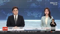 '신림동 강간미수 영상' 남성 항소심도 징역 1년