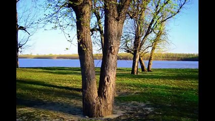 Video 4 of The US 60 Art Drop 2016 Road Trip day 1 Fort Defiance, MO, TN