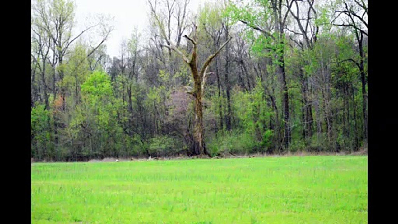 Video 8 US 60 Art Drop 2016 Road Trip day 4 Reelfoot  Natonal Wildlife Refuge Goose Pen Canoe Trail