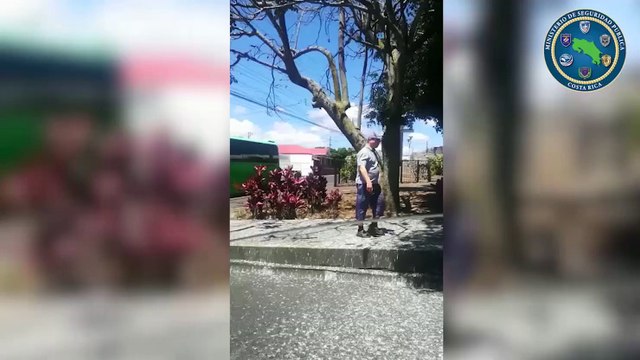 tn7-Policía detiene autobús con extranjeros adultos mayores que pretendían ingresar a la Basílica de Los Ángeles-240320