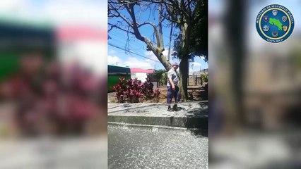 tn7-Policía detiene autobús con extranjeros adultos mayores que pretendían ingresar a la Basílica de Los Ángeles-240320