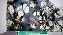 Cientistas descobrem meteorito com supercondutividade