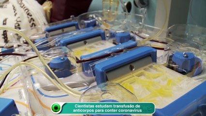 Cientistas estudam transfusão de anticorpos para conter coronavírus
