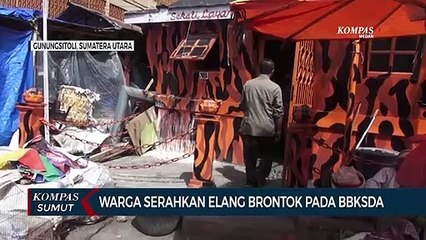 Warga Kota Kabanjehe Serahkan Elang Langka Pada BBKSDA