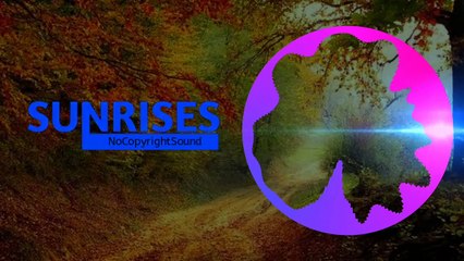 Andromedik-SHE [Sunrises NoCopyrightSound]