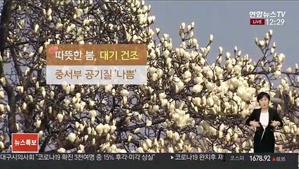 [날씨] 4월 하순처럼 따뜻…내일~모레 전국 비