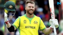 Watch: In self-isolation, David Warner practices one-handed catches