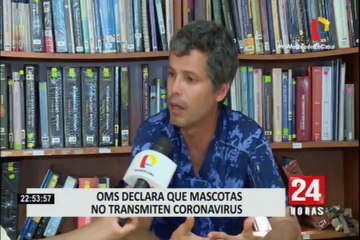 OMS: mascotas no transmiten el coronavirus