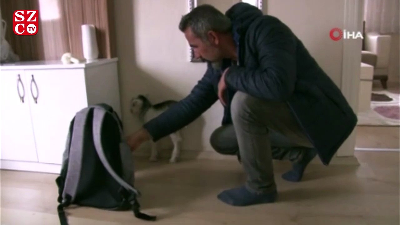 Annesini ayı yiyen keçi yavrusunu ölmekten gazeteci kurtardı