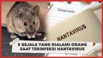 5 Gejala yang Dialami Seseorang Apabila Terinfeksi Hantavirus