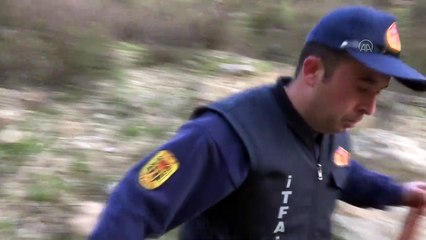 Ziftte hareket etmekte zorlanan köpek ile 5 kaplumbağa kurtarıldı - MUĞLA