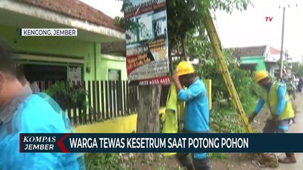 Warga Tewas Kesetrum Saat Potong Pohon