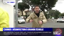 Coronavirus: à Cannes, désinfection à grande échelle