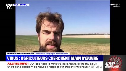 "On a vraiment besoin de main d'oeuvre saisonnière", lance Jean-Baptiste Prevost, producteur d'asperges dans la Marne