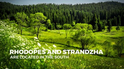 BULGARIAN MONUNTAINS