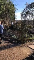 Charity Kissing It Better sing to Brethren and residents of Guild Cottages and Westgate Almshouses