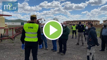 ✅El Ejército contra el Covid-19 recluta agricultores en España y Francia...en merca2tv(25.03.20)