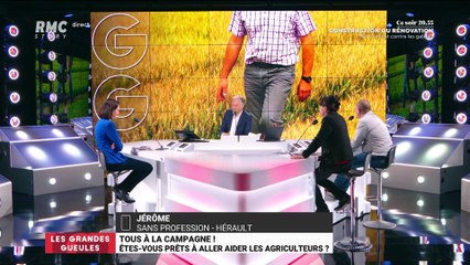 Tous à la campagne ! Etes-vous prêts à aller aider les agriculteurs - 25/03