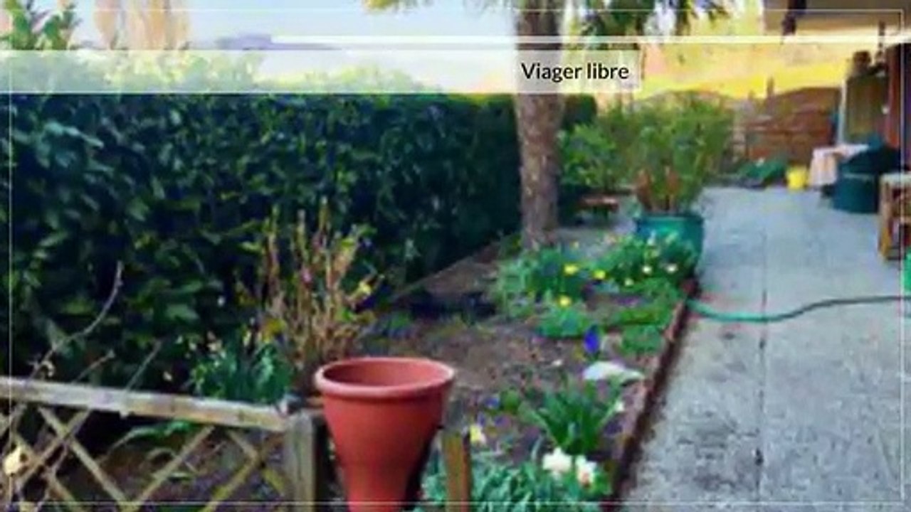 Viager - Appartement - Chernex (1822) - 4.5 pièces - 134m²