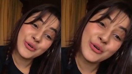 Shehnaz Gill ने फैंस के सामने खुद उडाया अपनी English का मज़ाक;देखिए VIDEO | FilmiBeat