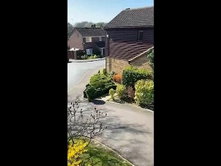 Hombre británico se disfraza de arbusto para burlar la cuarentena por coronavirus
