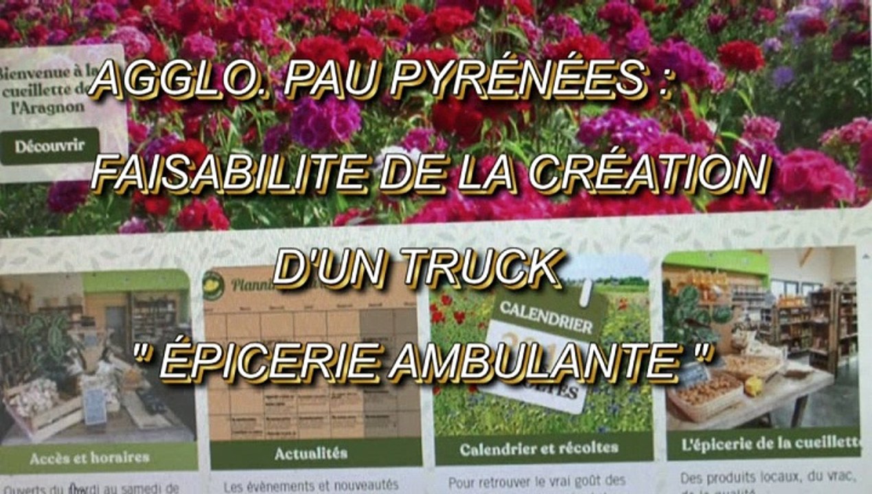 LES SUGGESTIONS DE MICHOU W-D.D. - 28 MARS 2020 - PAU - FAISABILITÉ DE LA CRÉATION D'UN TRUCK ÉPICERIE AMBULANTE