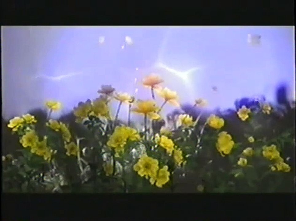 Kev Hlub Cheem Tsis Tau 1 1/2