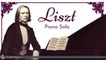 Classical Music - Liszt - Piano Solo
