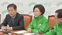 민생당, 계파 갈등 속 '손학규 선대위' 출범 / YTN