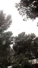 Neige au Castellet en plein début de printemps