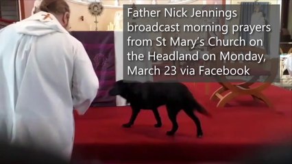 Lovable dog Mitzu interrupts morning prayers broadcast
