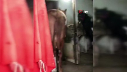 Yatsı ezanı sonrası camilerde dua sesleri