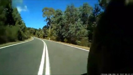 Un cycliste frôle un kangourou dans une descente à plus de 70kmh