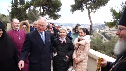 dbb-principe-inglaterra-coronavirus-250320