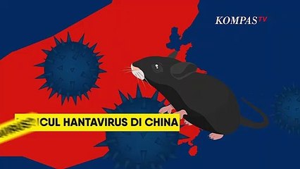 Berbeda dengan Virus Corona, Apa Itu Hantavirus?