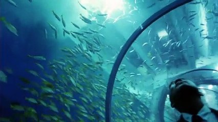 映画  [ヌードの夜]  (1993)