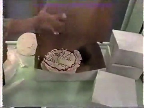 Nickelodeon Finders Keepers Chicken