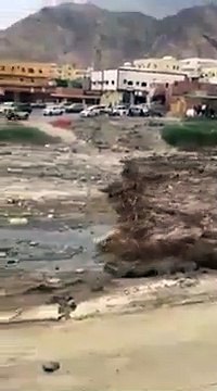 Cyclone Fani Makes Landfall in Odisha’s Puri - The Quint