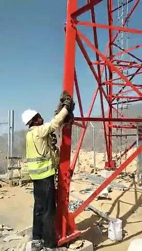 The Monkey Climbed to Mobile Tower From the Tower Worker Hand Due to Expension of Corona Virus?