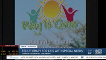 Tele-therapy for kids with special needs