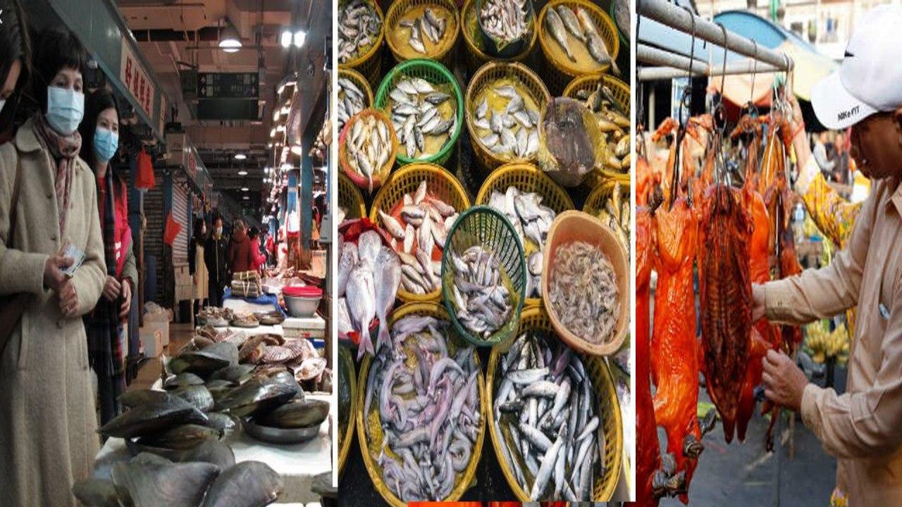 Wuhan Seafood Market Set To Re Open