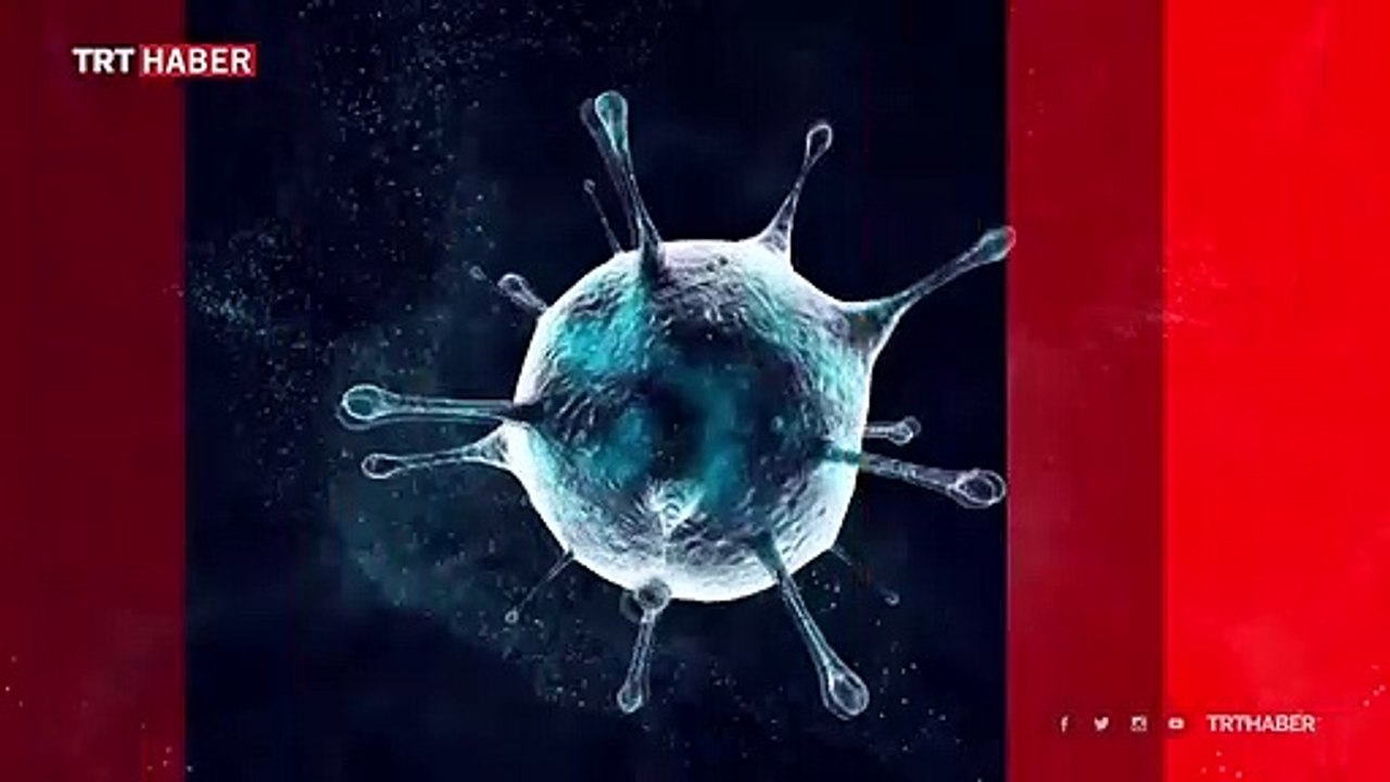 Koronavirüs sadece yaşlıları mı etkiler?