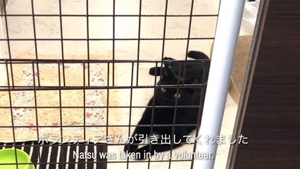 The Day Natsu Became a Family