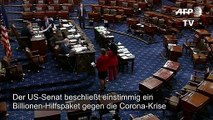 US-Senat beschließt einstimmig Billionen-Hilfspaket gegen Corona-Krise