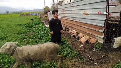 1 Metre 31 Santimlik Genç, İşkur Sayesinde Hayaline Kavuştu