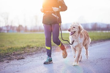4 conseils pour vous garder en forme avec votre chien