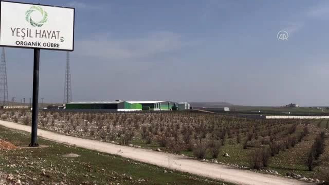Şanlıurfa'da üretilen organik gübre yurt dışına satılıyor